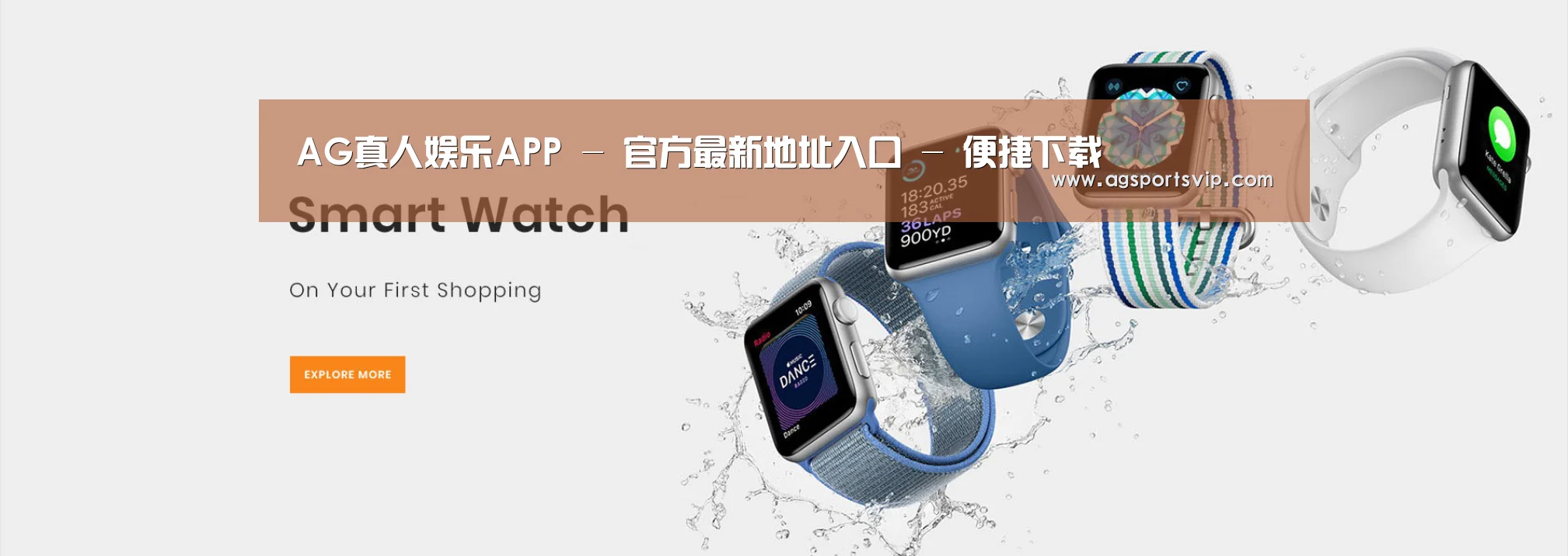 某某网络科技有限公司