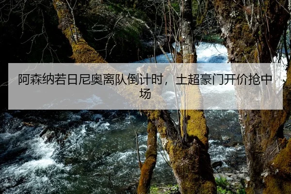 阿森纳若日尼奥离队倒计时，土超豪门开价抢中场