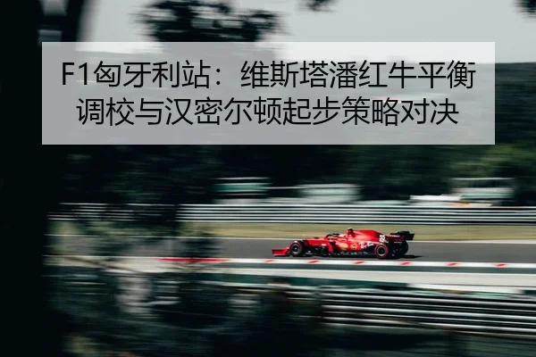 xiong-ya-li-zhan-wei-si-ta-pan-hong-niu-ping-heng-diao-xiao-yu-han-mi-er-dun-qi-bu-ce-lve-dui-jue-2-384.jpg