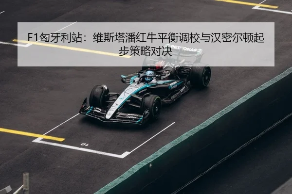 xiong-ya-li-zhan-wei-si-ta-pan-hong-niu-ping-heng-diao-xiao-yu-han-mi-er-dun-qi-bu-ce-lve-dui-jue-3-497.jpg
