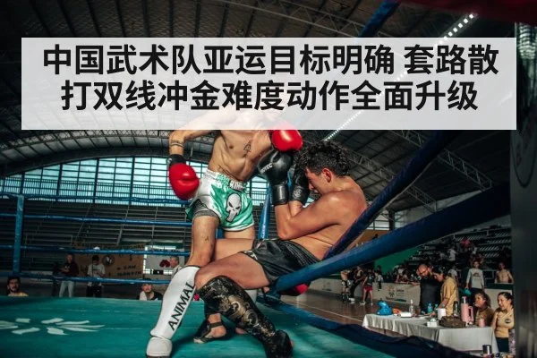 sanda kickboxing fight