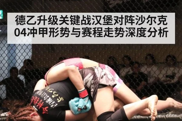 德乙升级关键战汉堡对阵沙尔克04冲甲形势与赛程走势深度分析